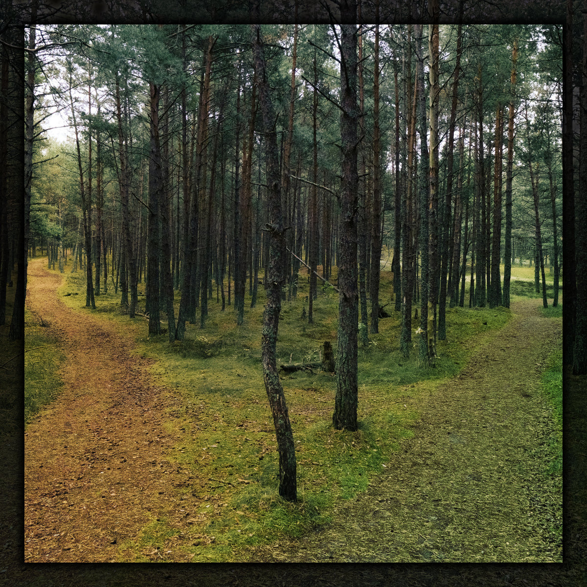 the roads that shaped us