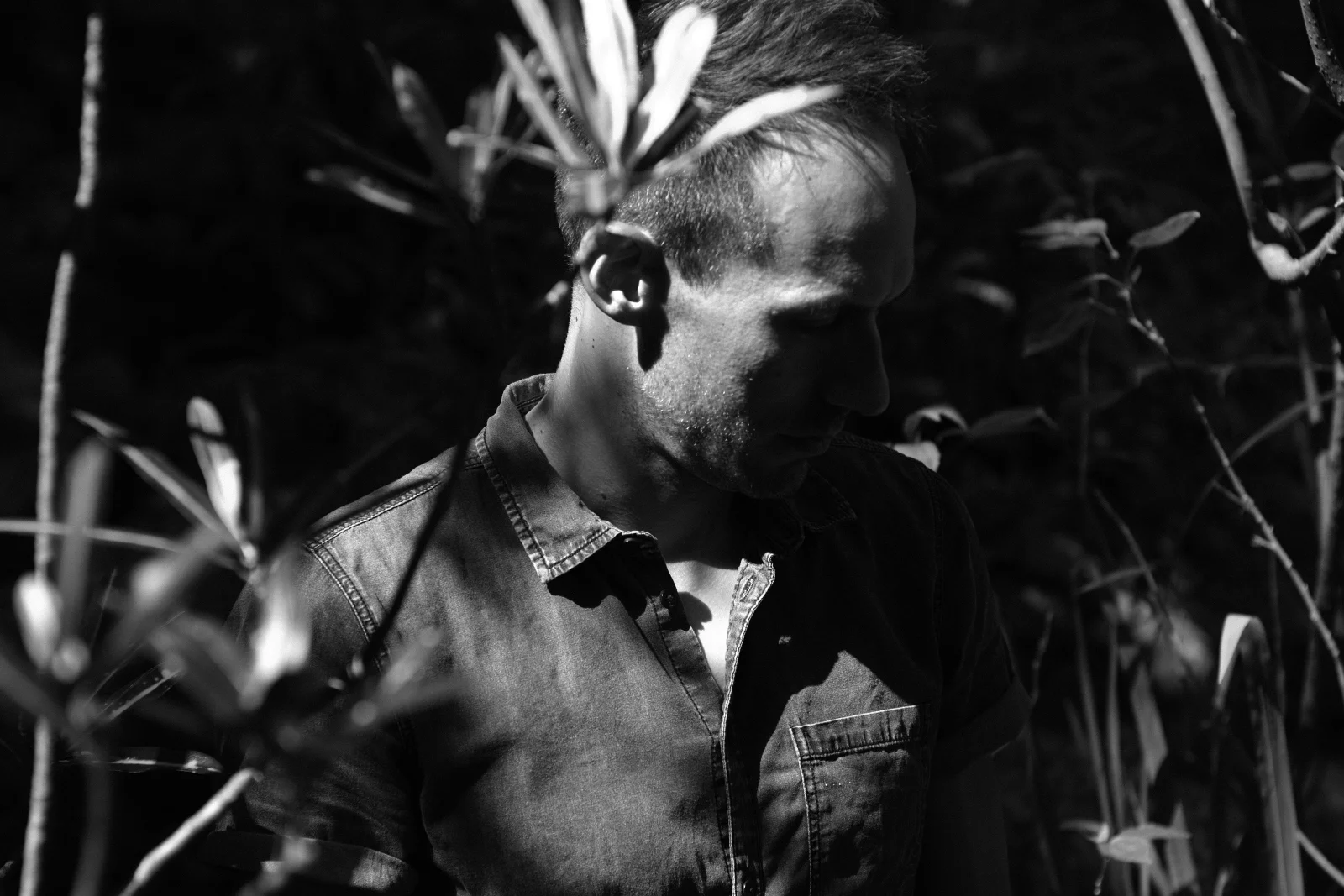 Ben Tatlow among sunlit leaves, eyes lowered